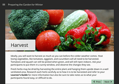 Harvest slide in Storyline showing image of vegetables above text.