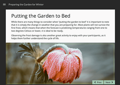 "Putting the Garden to Bed" slide in Storyline. Text above image of frost covered tulip.