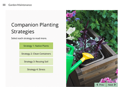 Companion Planting Strategies: Storyline slide with click & reveal to the left and image on right.